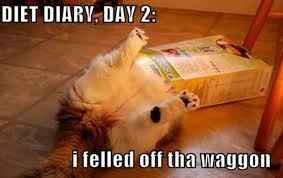 NWR: Tickled Tuesday