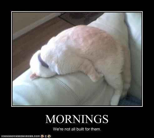 NWR: Anyone else hit snooze 867 times in the AM?!?!