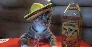 Party favor ideas plz!!!