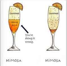 Your Favorite Mimosa Recipes :)