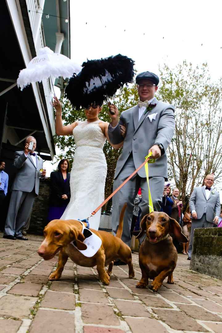 Furbabies in the wedding? Y/N?