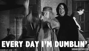 Dumbeldore and Gandalf's BAM