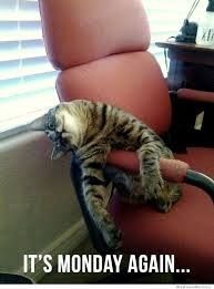 Monday Crankypants Party