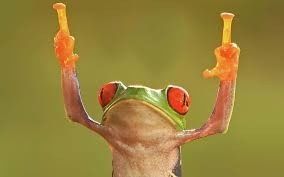 WW: Please welcome, Tickled Tuesday!