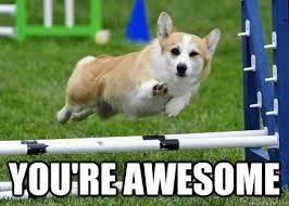 Shout out to all of you!