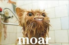 BAM non pro pics!