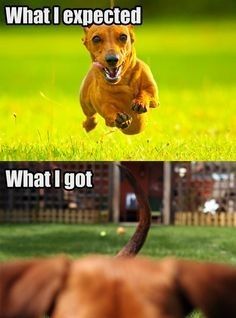 Tickled Tuesday