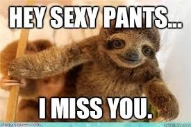 NWR: Random chatting and meme thread