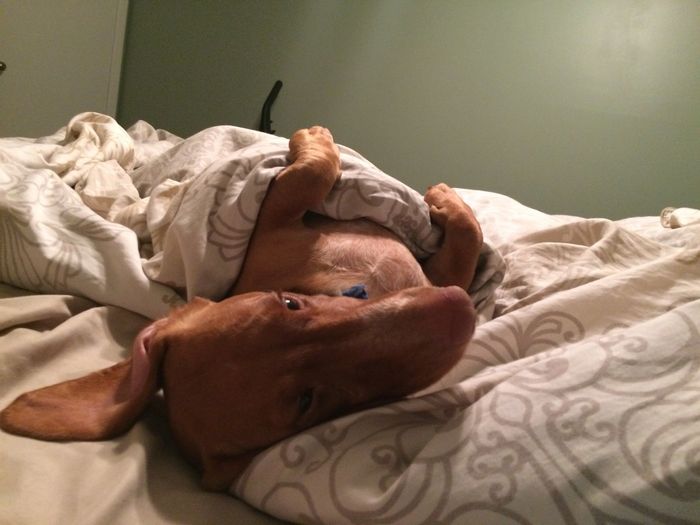 NWR: Happy Fursday!