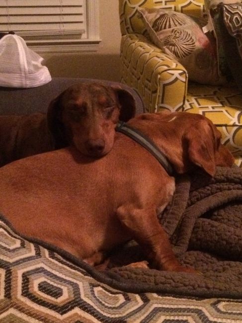 NWR: Happy Fursday!