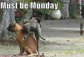 Crankypants Monday