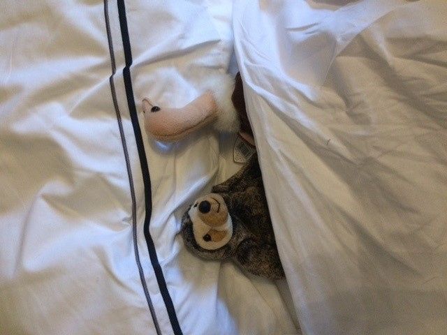 ONLY 1 WEEKEND IN DEC AND 2 IN JANUARY LEFT: Sloth and Ostrich Beans