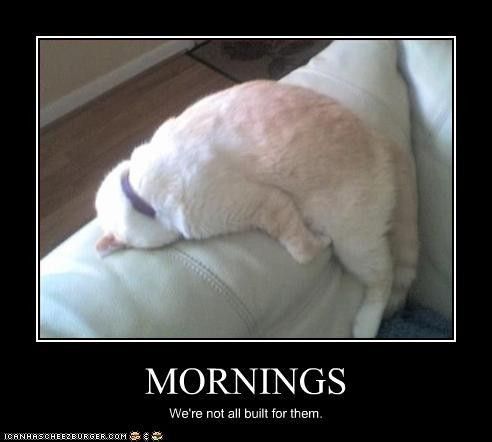 NWR: Anyone else hit snooze 867 times in the AM?!?!