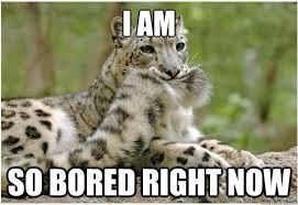 Thread of Random Questions