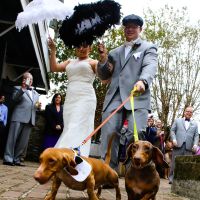 Furbabies in the wedding? Y/N?