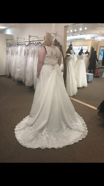 Any Plus Size Brides Out There? 2