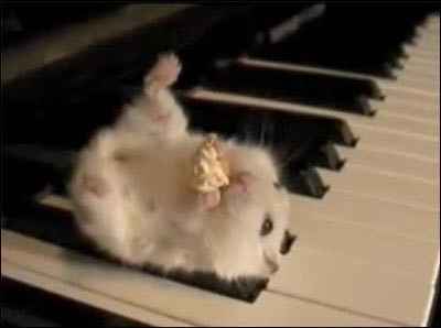 Who's doing the Dollar Dance?