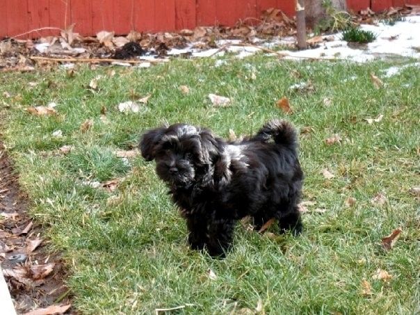 Fur-baby Tuesday!