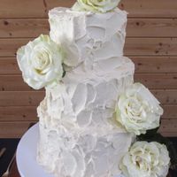 baM bAM BAM! Non-pros and TONS OF ADVICE