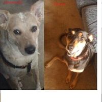 NWR: I want to see your pets!