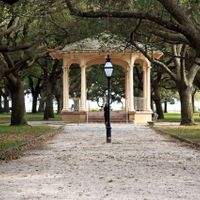 Has anyone had your dog walk you down the aisle? - 1