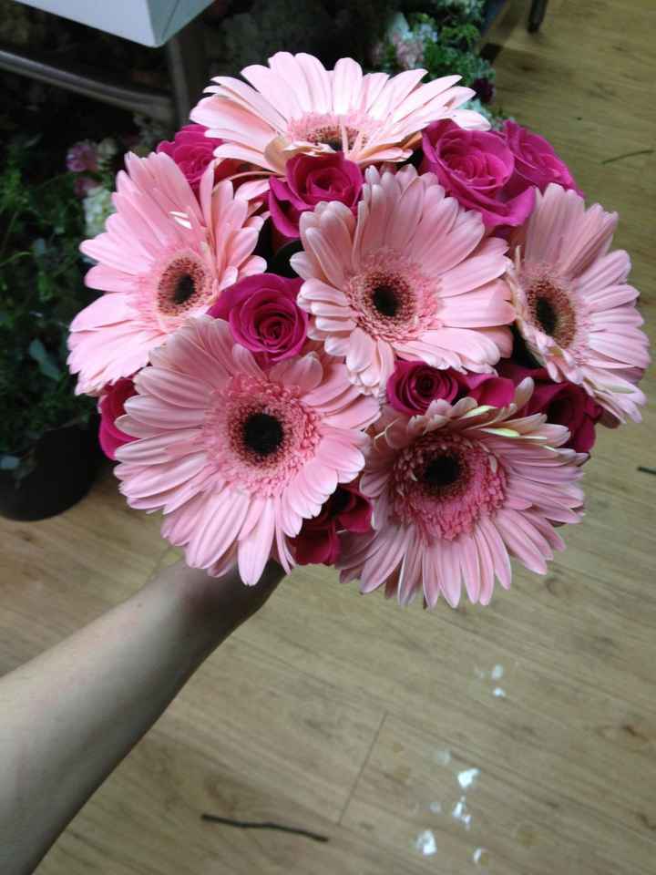 SHOW ME YOUR GERBERA DAISIES! - flowers help!
