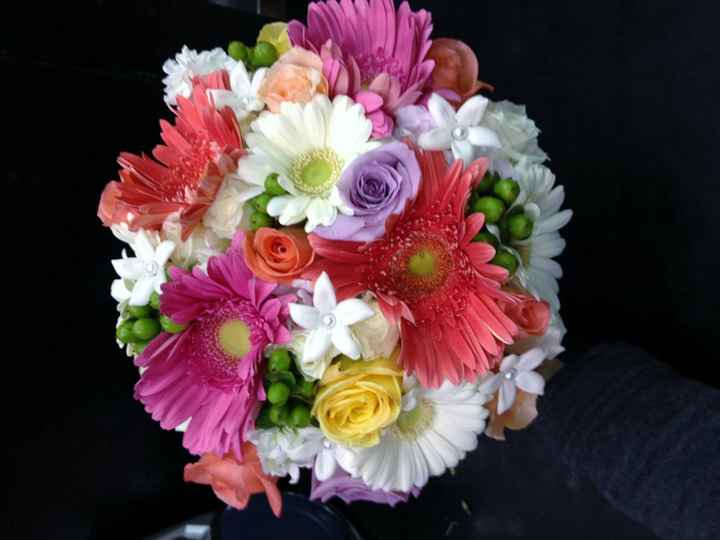 SHOW ME YOUR GERBERA DAISIES! - flowers help!