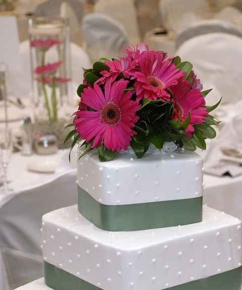 SHOW ME YOUR GERBERA DAISIES! - flowers help!