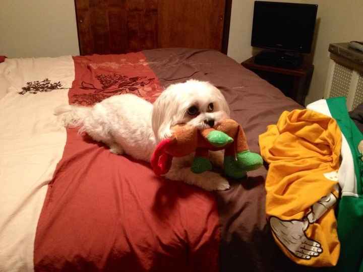 NWR: Fur baby thread!