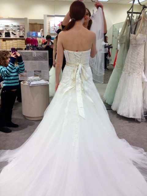 Show me your Davids Bridal dresses:)