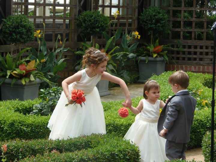 BAM!!!! (Non-pro pics)