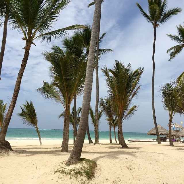 BAM!!!! (Non-pro pics)