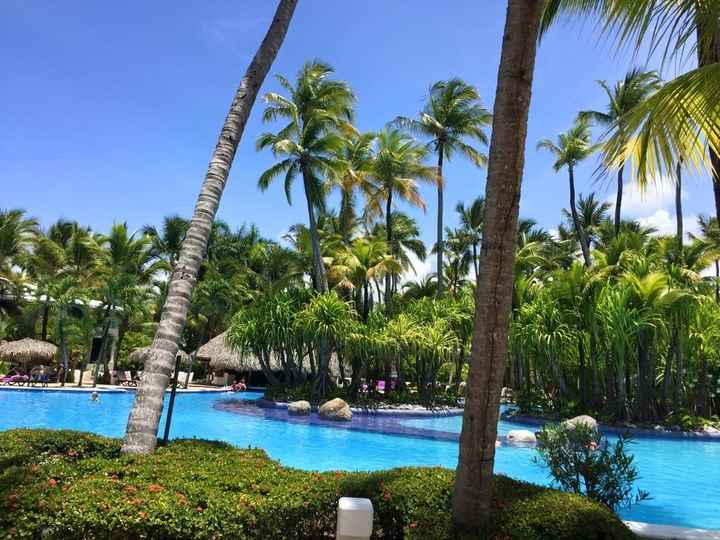 BAM!!!! (Non-pro pics)