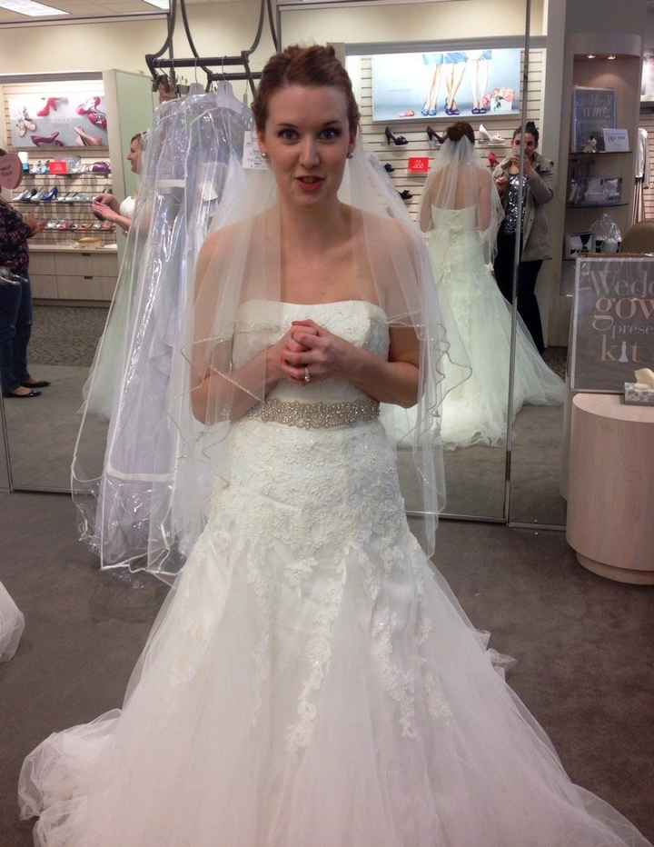 Got my dress and veil! (Pics)