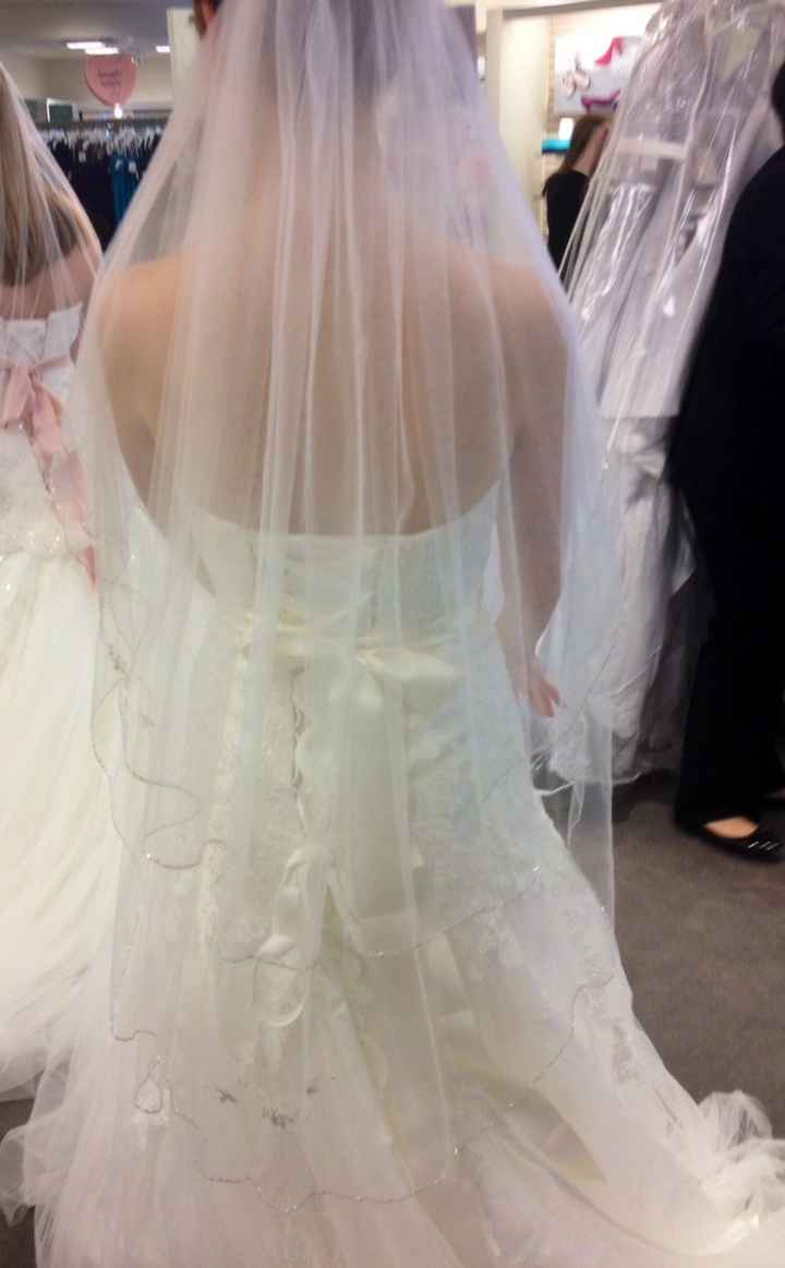 Got my dress and veil! (Pics)