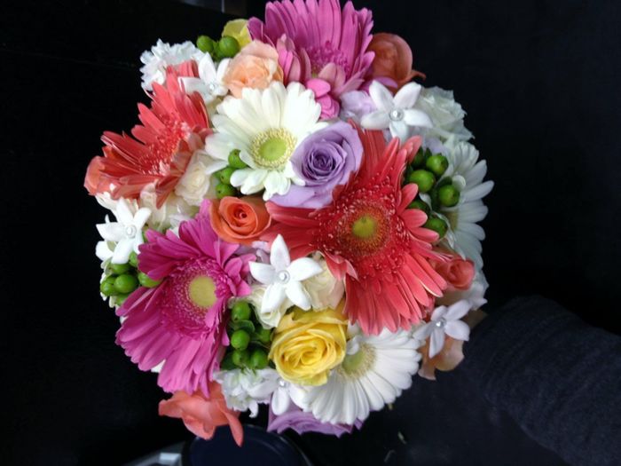 SHOW ME YOUR GERBERA DAISIES! - flowers help!