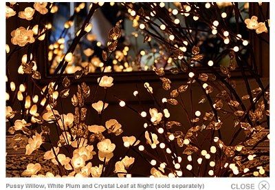 lighting ideas for reception!!!