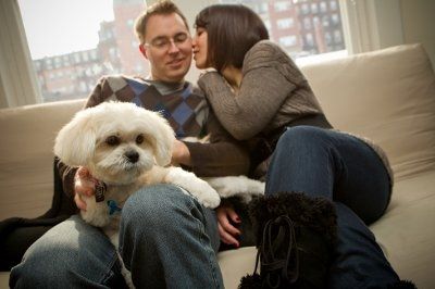 NWR: I want to see your pets!