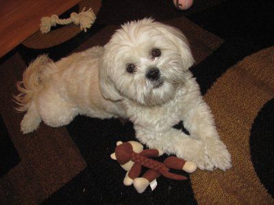 NWR: Show off your fur baby!