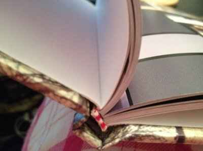 Anyone ever used PhotobookAmerica for their professional looking albums? Vendors Welcome too