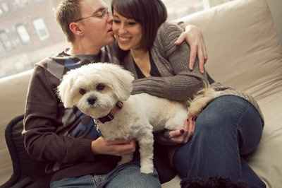 NWR: Show off your fur baby!