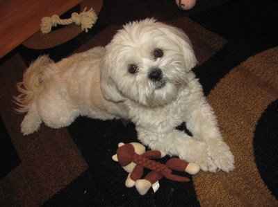 NWR: Show off your fur baby!