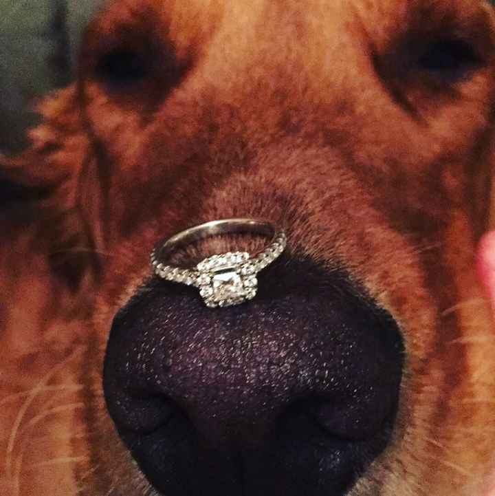 Small diamond ladiessssss.....Let me see those small diamond halo's (half carat and lower)
