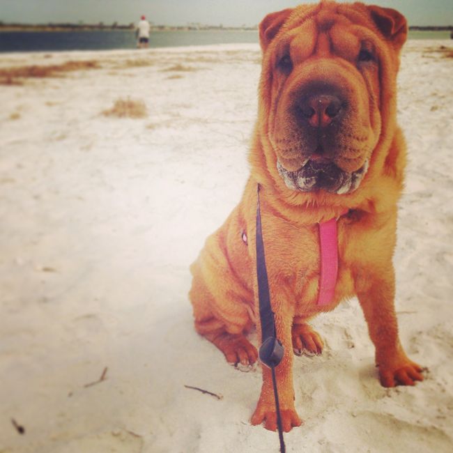 NWR-- IT's A BOY!! :)