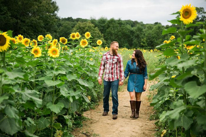 Introduction/One Year Out/Engagement Pictures