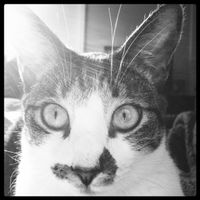 NWR: I got a fur baby!!! PICS! :)