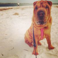 NWR-- IT's A BOY!! :)