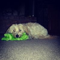 NWR-- IT's A BOY!! :)