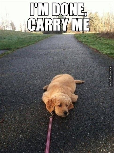 Meme your day!