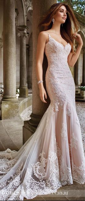 What's your dress fabric? - 1